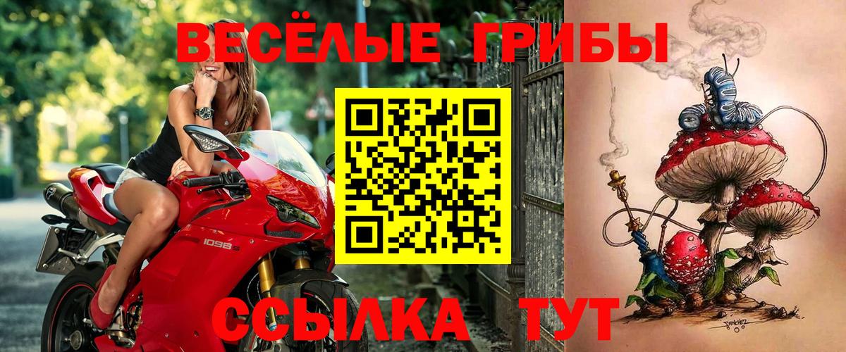 Нарткала  Псилоцибиновые грибы GOLDEN TEACHER  Псилоцибиновые грибы GOLDEN TEACHER  Вход с VPN 
