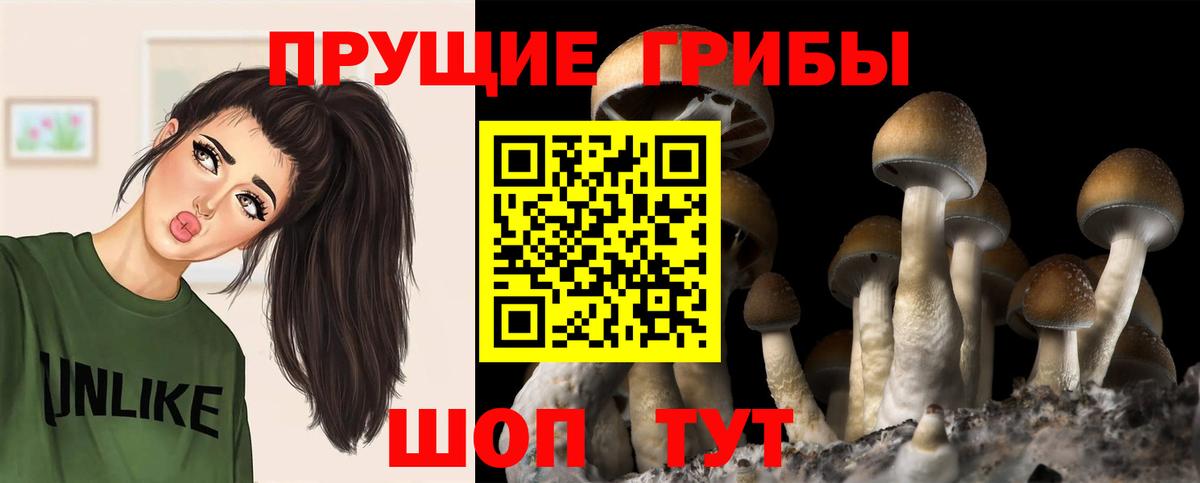 Галлюциногенные грибы ЛСД Нарткала
